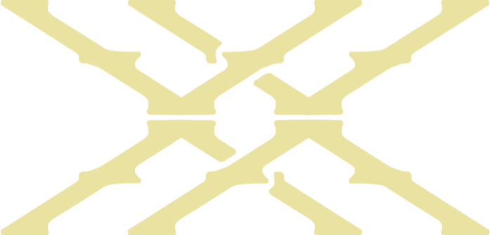 XX